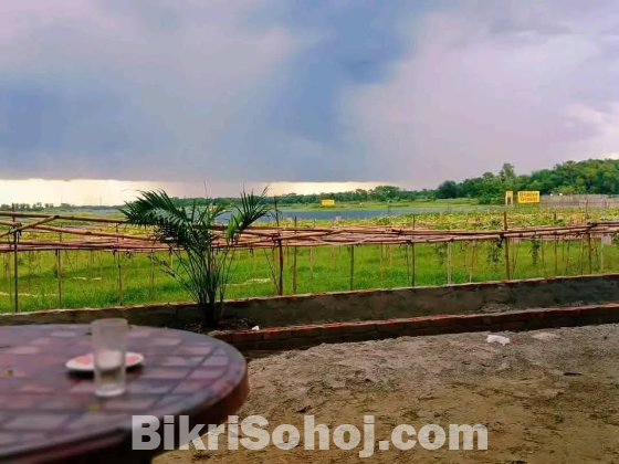 Pine City (Best Plot in Purbachal)